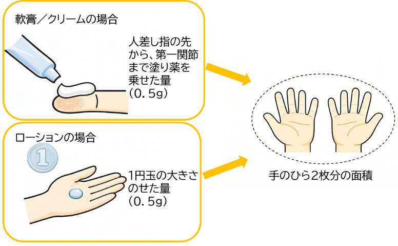 効果を最大化する「1FTU」と「塗り方」