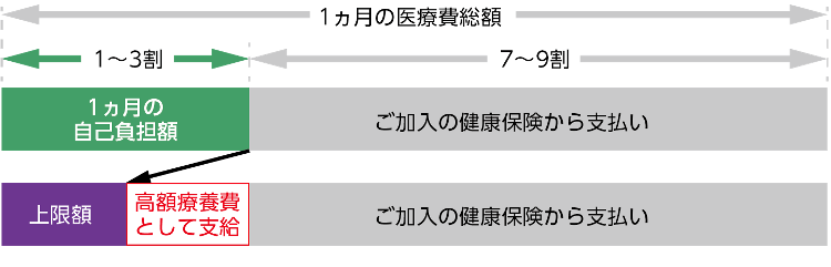 費用と「高額療養費制度」
